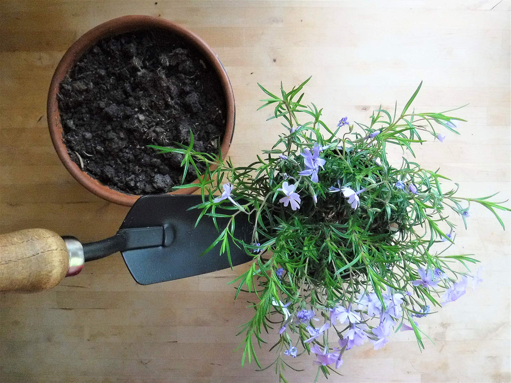 Gardener's Essential Tool Set, Garden Tote, Farmhouse Garden Tools, Garden Bag, Gift for Gardeners