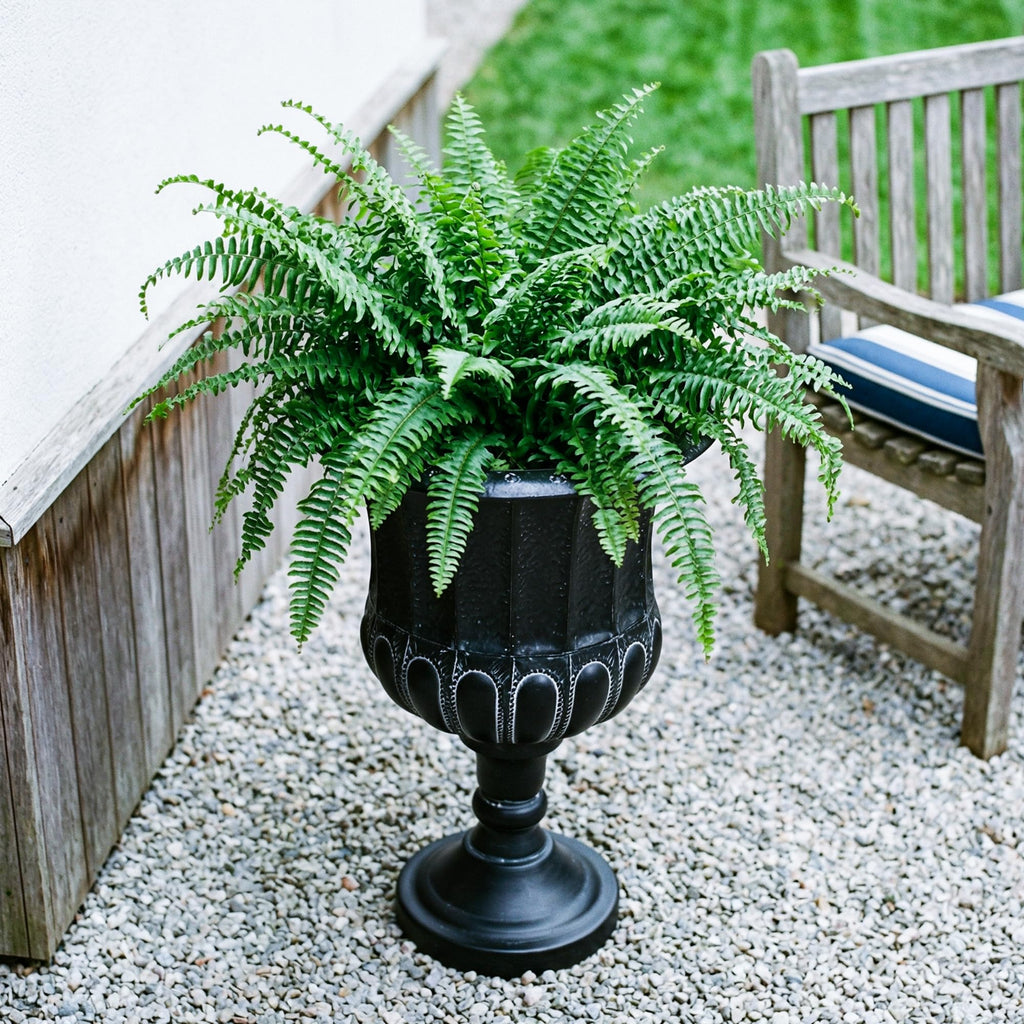 25" H. Metal Urn Planters 1-Pack - Black Classic Antique Iron Plant Pots - Large Decorative Rustic Flower Pots for