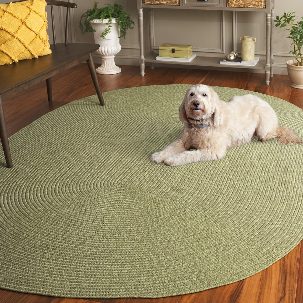 Braided Indoor/Outdoor Washable Oval Rug 4x6, Sage BRD317W