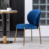 Amoa Contemporary Golden Metal Legs with Velvet Upholstered Dining Chairs Set of 2, Blue