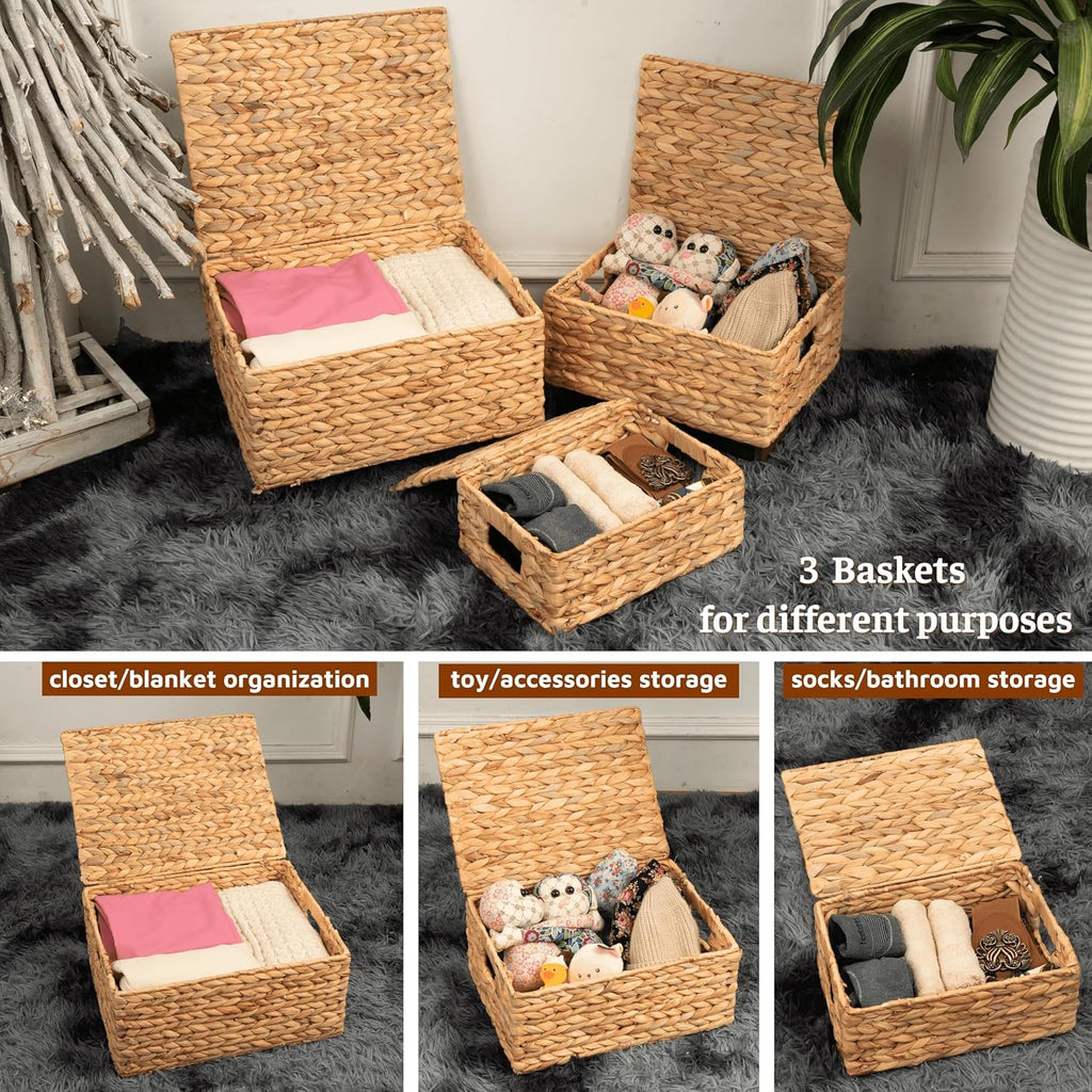 Set of 3 Wicker Baskets with Lid - Woven Storage Basket with Lid - Decorative Storage Boxes and Shelves