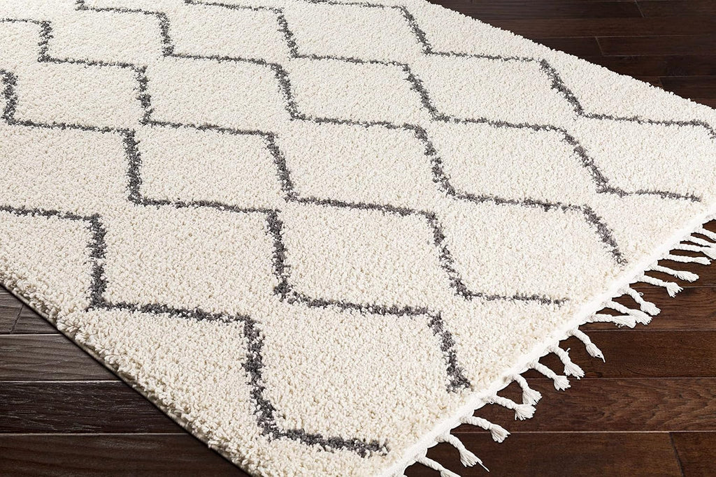 Azalea Living Room, Bedroom Area Rug - Diamond Geometric Trellis Zig Zag - Bohemian Moroccan Berber Boho Tribal