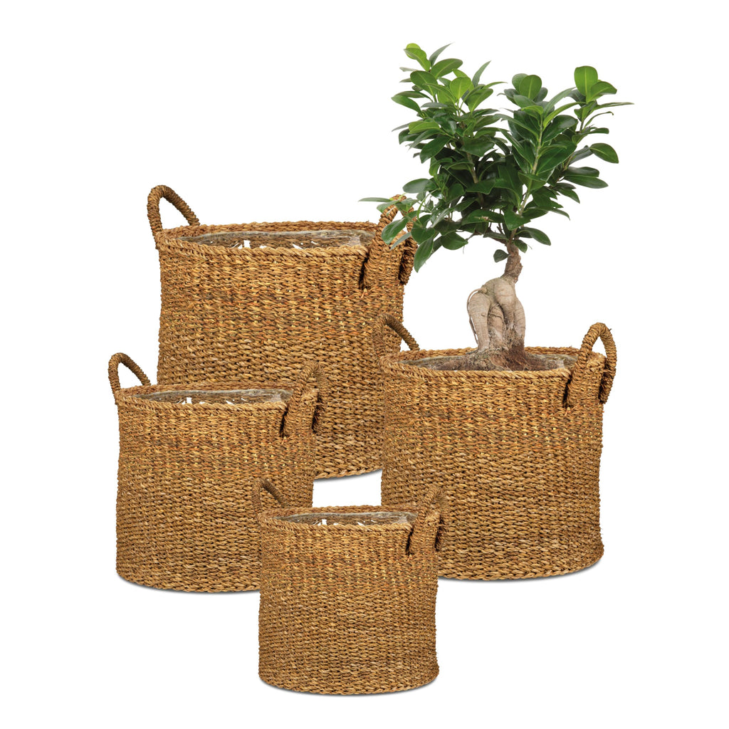 Seagrass 33, Basket Planter/Basket Planter/Basket Pot with Seagrass Handles, Colour: Groove, 35 cm Diameter, 31 cm