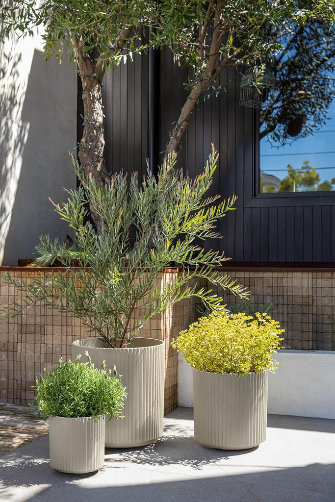 Demi Series Set of 3 Round Planters for Porch, Patio, Backyard | Durable -Concrete Material | Modern Décor for Tall