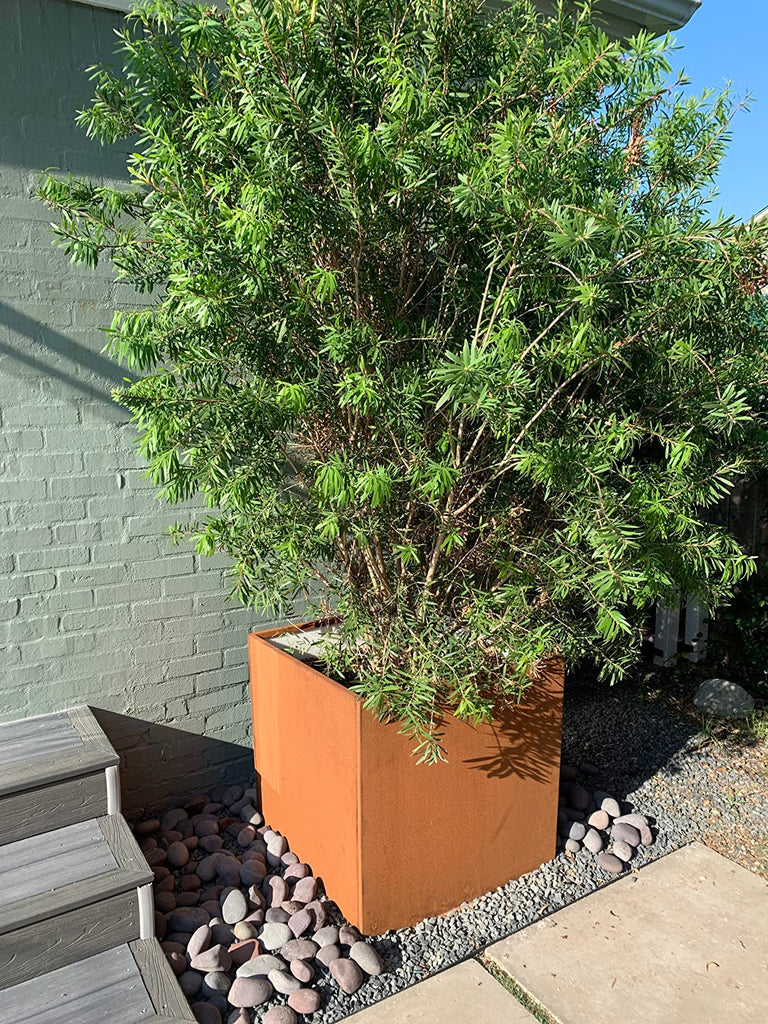Corten Steel Planter Box 26 Inch, Metal Square Planters