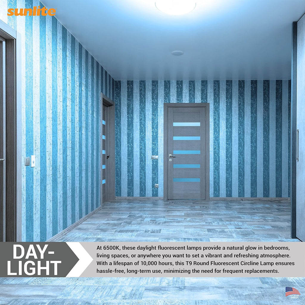 T9 Round Fluorescent Circline Lamp, 22 Watts, 1050 Lumens, 6500K Daylight, RoHS Compliant, G10Q 4-Pin Base