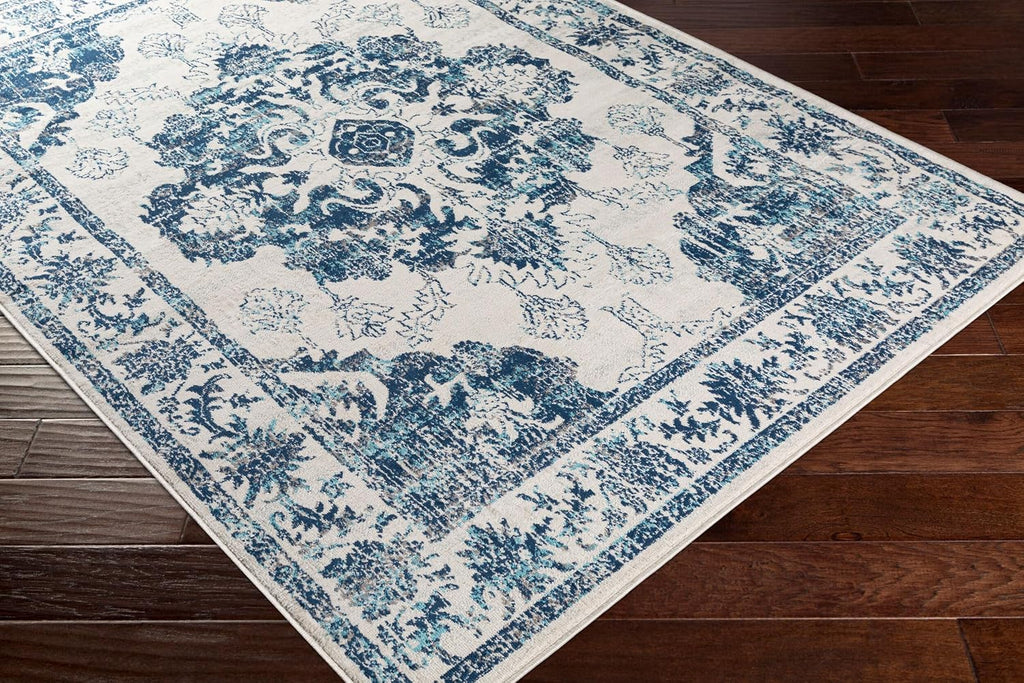 Area Rugs - Delney Vintage Boho Blue Rug Bedroom - Beige Gray Floral Medallion Stain Resistant Carpet (5'3" x