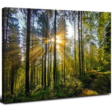 Large Forest Landscape Wall Art Nature Sunrise Picture Wall Decor Mountain Trees Scenery Canvas Painting Photo Modern