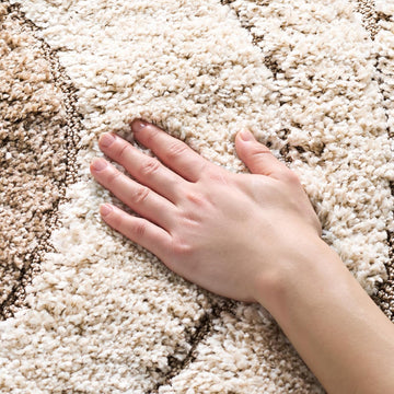 Florida Shag Collection Area Rug - 5'3" x 7'6", Cream & Smoke, Modern Ogee Design, Non-Shedding & Easy Care, 1.2-inch