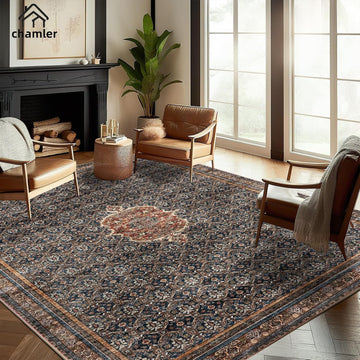 Washable Area Rug Boho Chic Medallion Distressed Design Non-Shedding Easy Care Ideal for High Traffic Areas