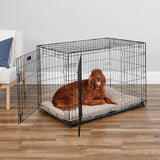 42-Inch iCrate for Large Breeds, 71-90 lbs, Double Door Folding Dog Crate with Divider Panel