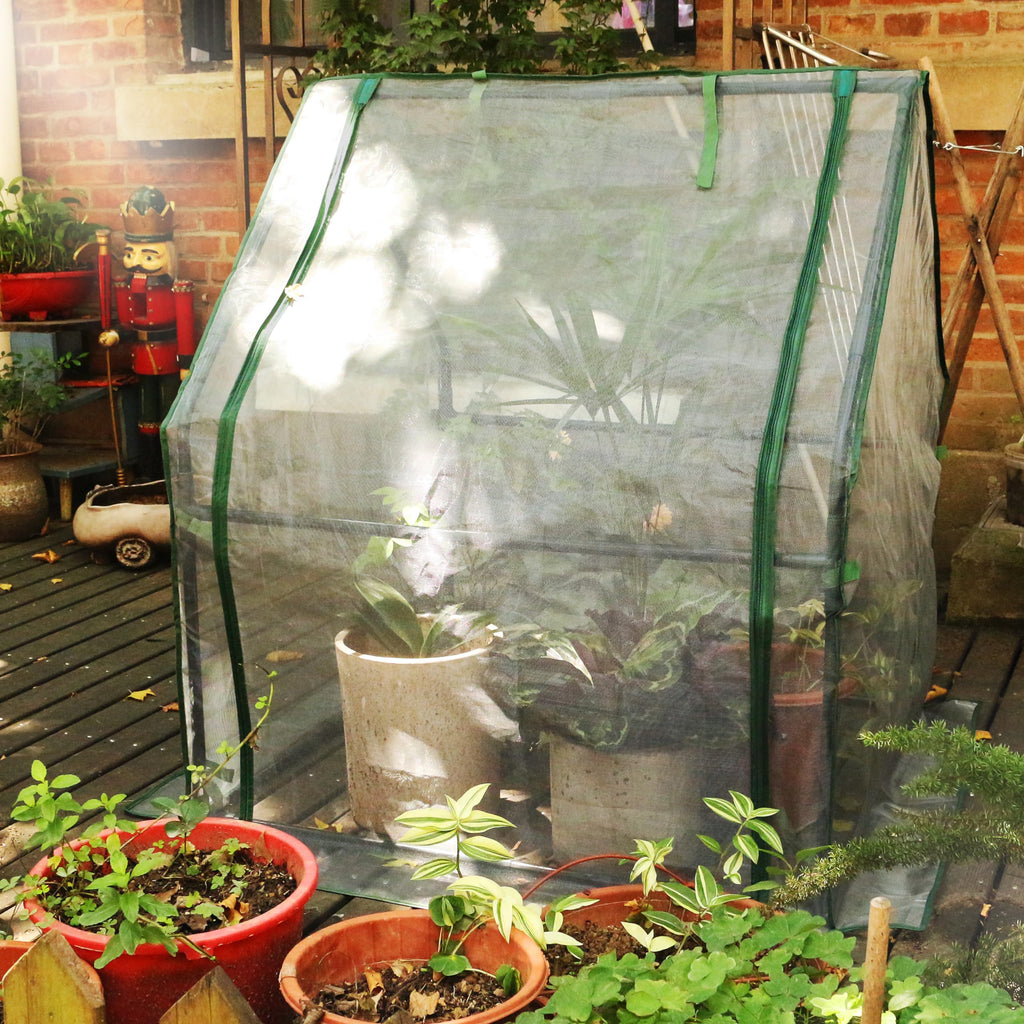 Mini Greenhouse with Zipper Mesh Cover 36.2"(L) x36.2(W) x42.5(H)