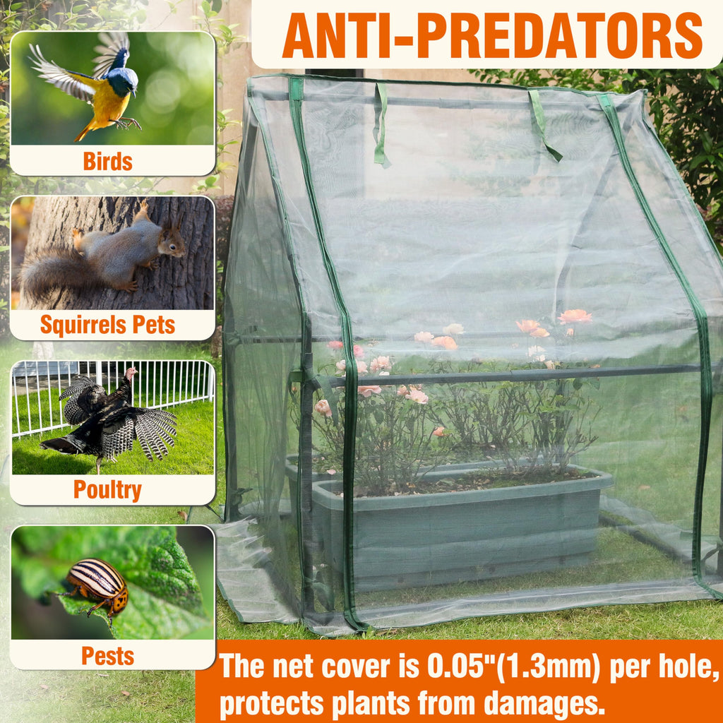 Mini Greenhouse with Zipper Mesh Cover 36.2"(L) x36.2(W) x42.5(H)