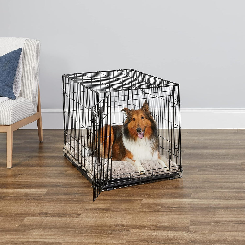 36-Inch iCrate for Medium-Large Breeds, 41-70 lbs, Single Door Folding Dog Crate with Divider Panel