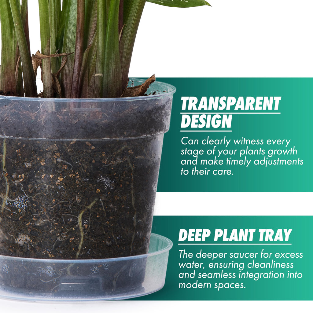 6 Inch Clear Plastic Plant Pot with Drainage Holes, Interlocking & Detachable Tray - Deep Saucer - Durable BPA-Free