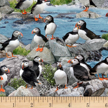 North American Wildlife-Puffins Blue, Quilting Fabric by the Yard