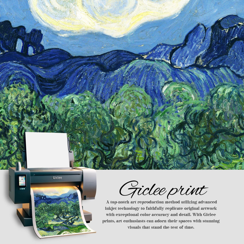 Olive Trees by Vincent Van Gogh, Canvas Print