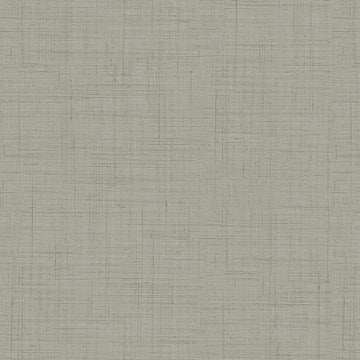 100% Cotton Duck 54" Texture Light Grey Color Sewing Fabric by The Yard (C54D0306)