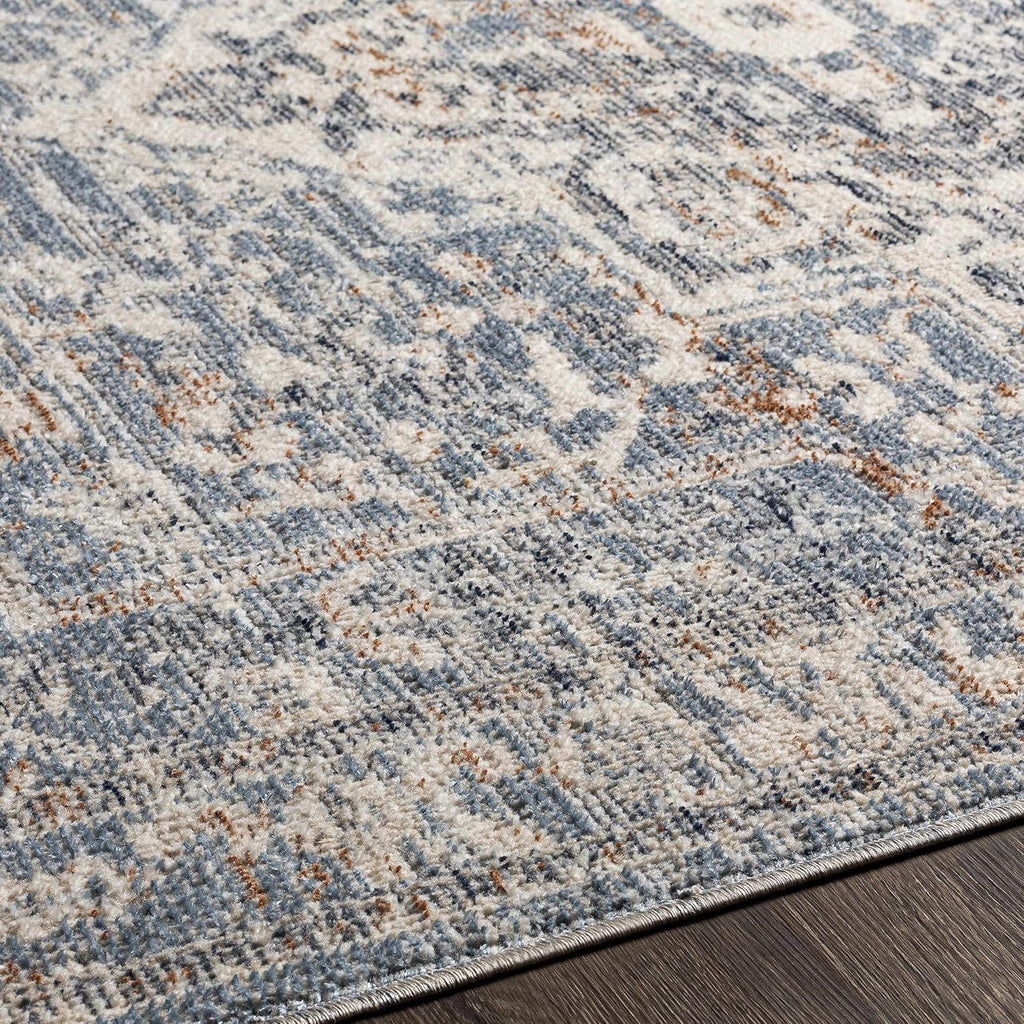 Warminister Hallway, Kitchen Runner Rug - Medallion Floral Border Distressed Faded - Traditional Oriental