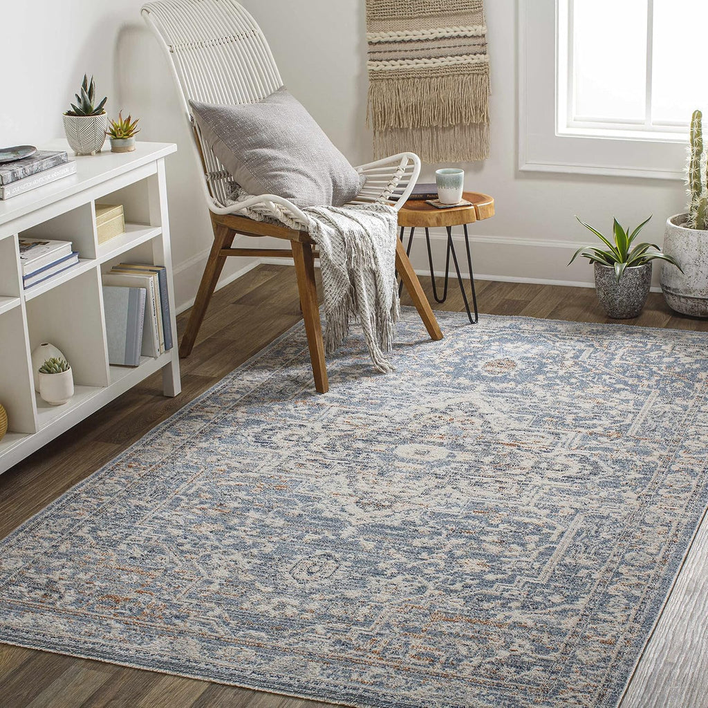 Warminister Hallway, Kitchen Runner Rug - Medallion Floral Border Distressed Faded - Traditional Oriental