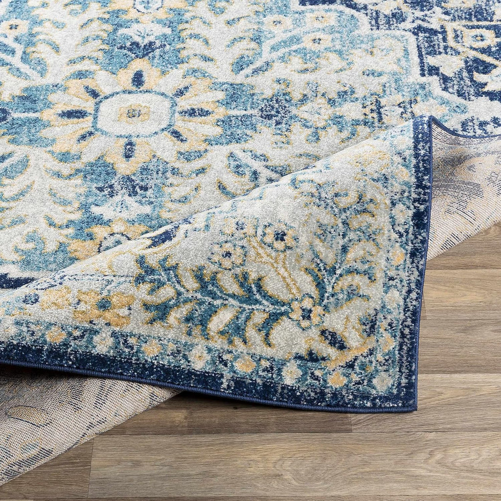 Lexington Living Room, Bedroom Area Rug - Medallion Floral Border Distressed Abstract - Traditional Oriental