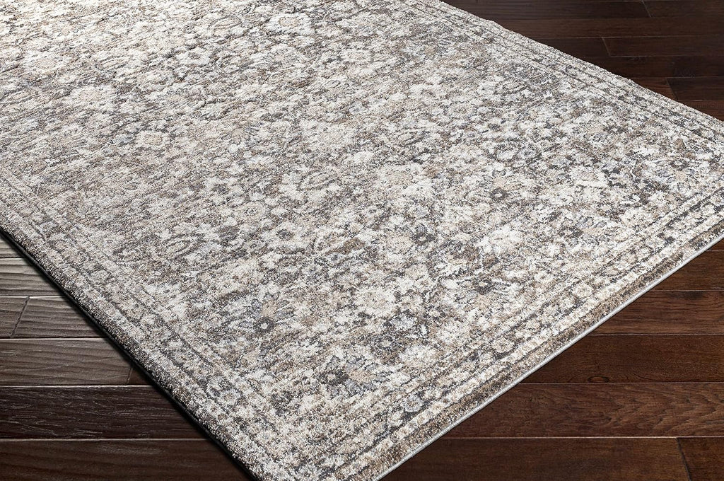 Borobudur Area Rug - Floral Damask Border Medallion Distressed - Traditional Oriental Transitional Turkish - High