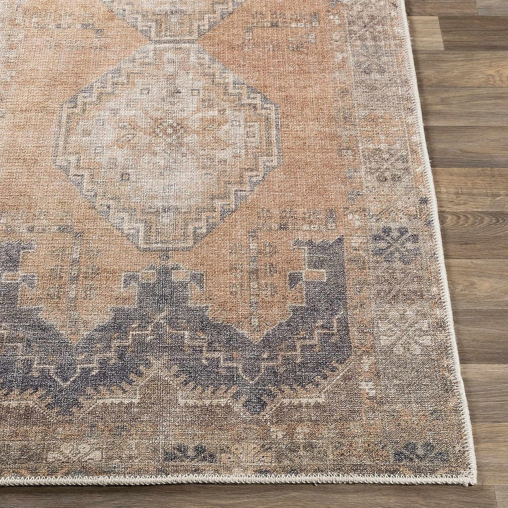 Carrabelle Machine Washable Area Rug - Medallion Geometric Border Distressed Faded - Traditional Oriental