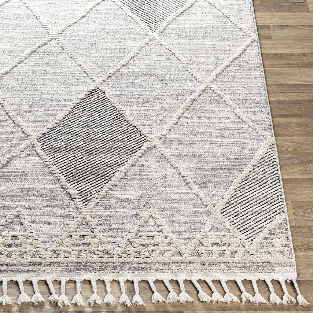 Norvelt Hallway, Kitchen Runner Rug - Geometric Diamond Trellis Striped Border - Bohemian Transitional Moroccan Boho