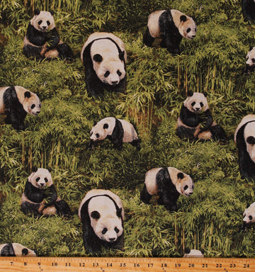Cotton Panda Bear Pandas Animals Jungle Nature Wildlife Born Free Cotton Fabric Print by The Yard (D474.36)