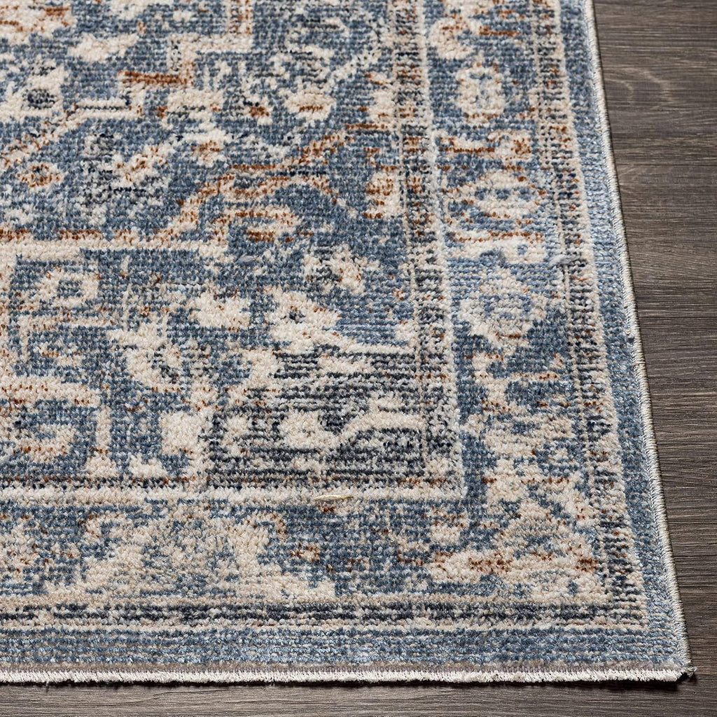 Warminister Hallway, Kitchen Runner Rug - Medallion Floral Border Distressed Faded - Traditional Oriental