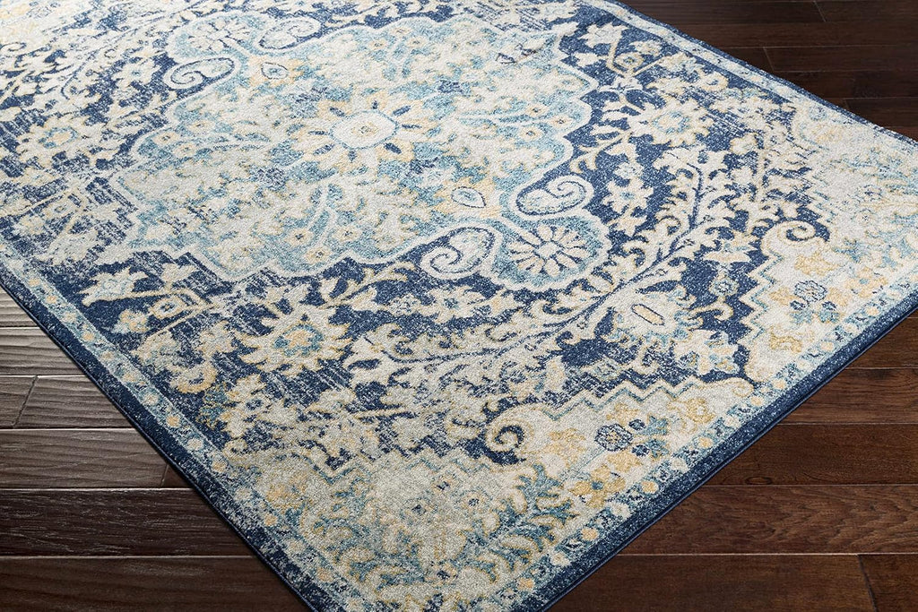Lexington Living Room, Bedroom Area Rug - Medallion Floral Border Distressed Abstract - Traditional Oriental