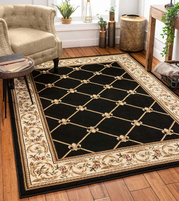 Timeless Collection Fleur De Lis Black Luxurious Traditional French Aubusson Oriental Area Rug Perfect Bedroom or
