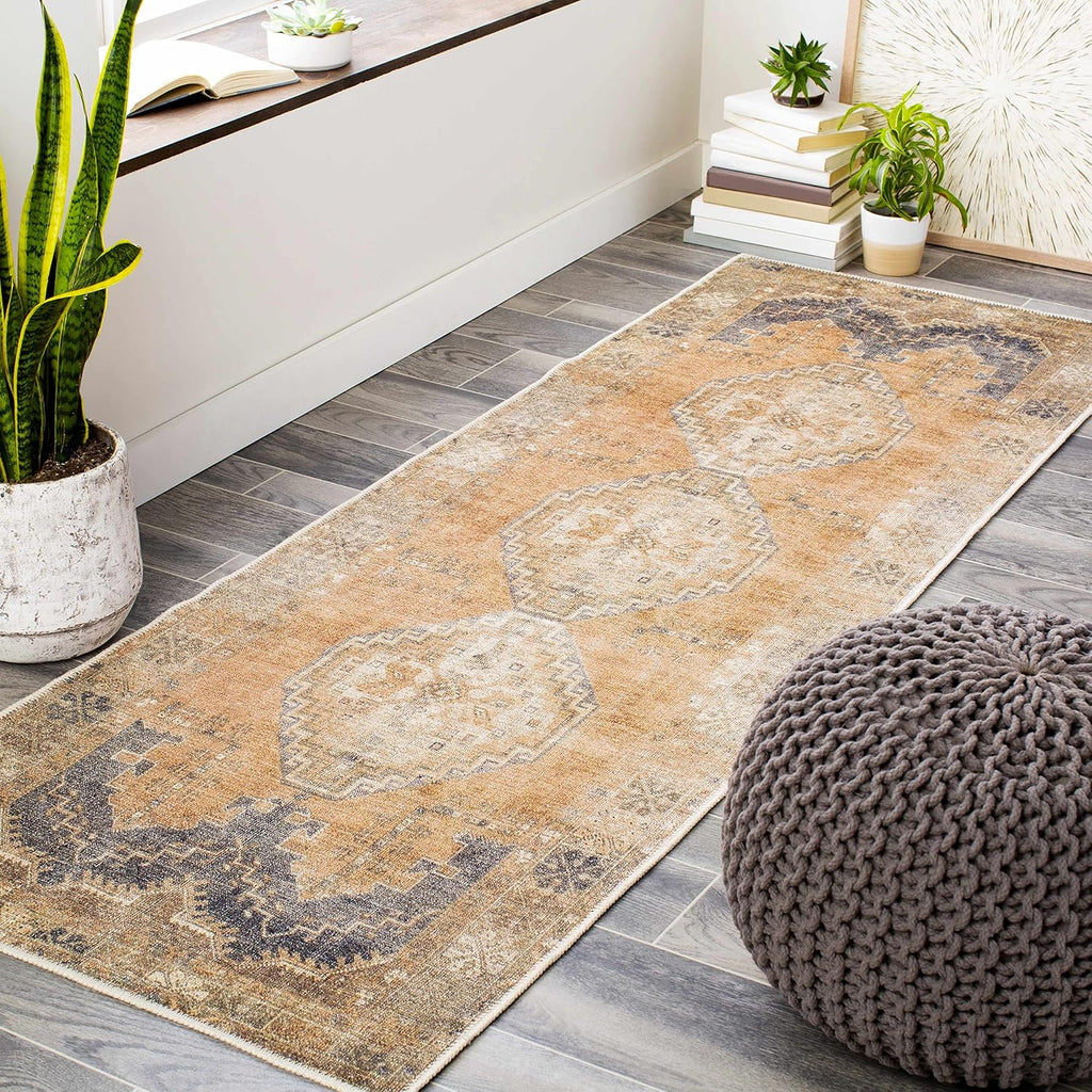 Carrabelle Machine Washable Area Rug - Medallion Geometric Border Distressed Faded - Traditional Oriental