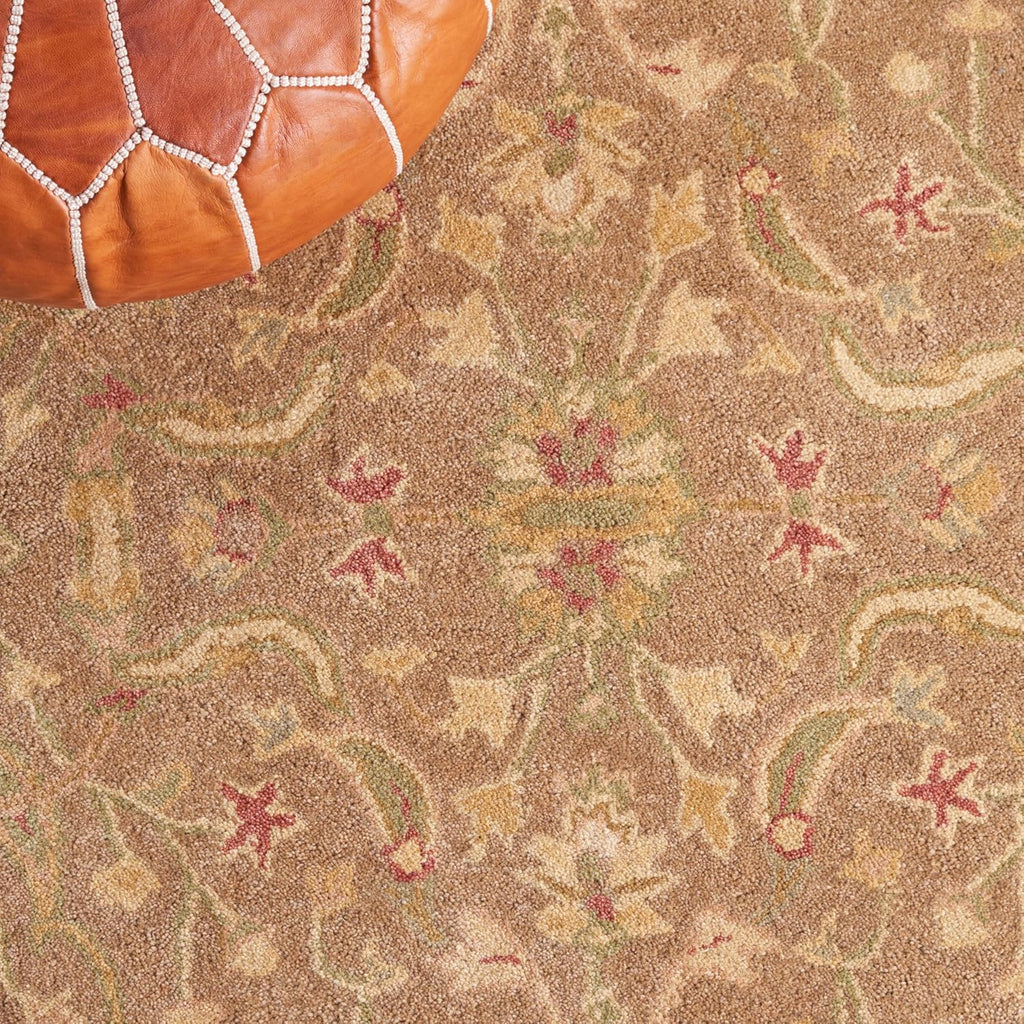 Antiquity 12' x 15' Brown / Gold Handmade Traditional Oriental Premium Wool Area Rug
