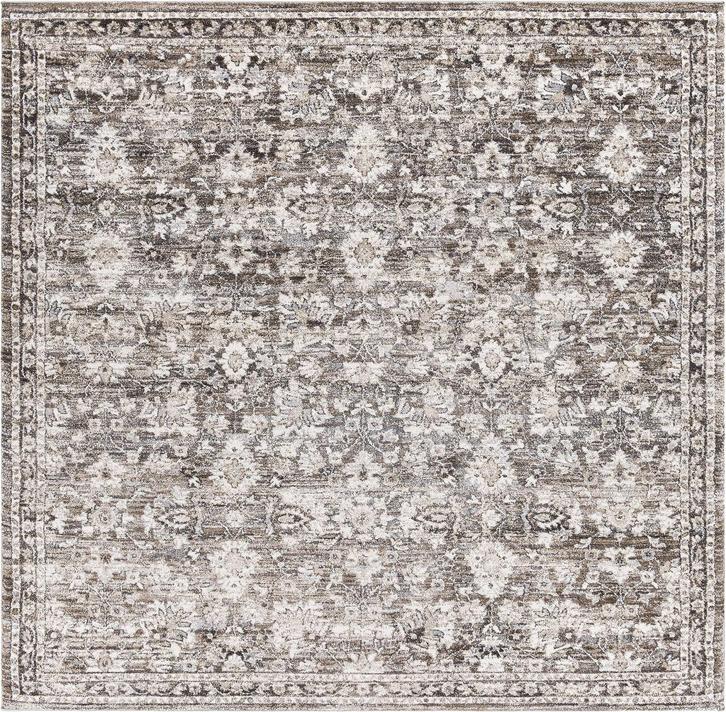 Borobudur Area Rug - Floral Damask Border Medallion Distressed - Traditional Oriental Transitional Turkish - High