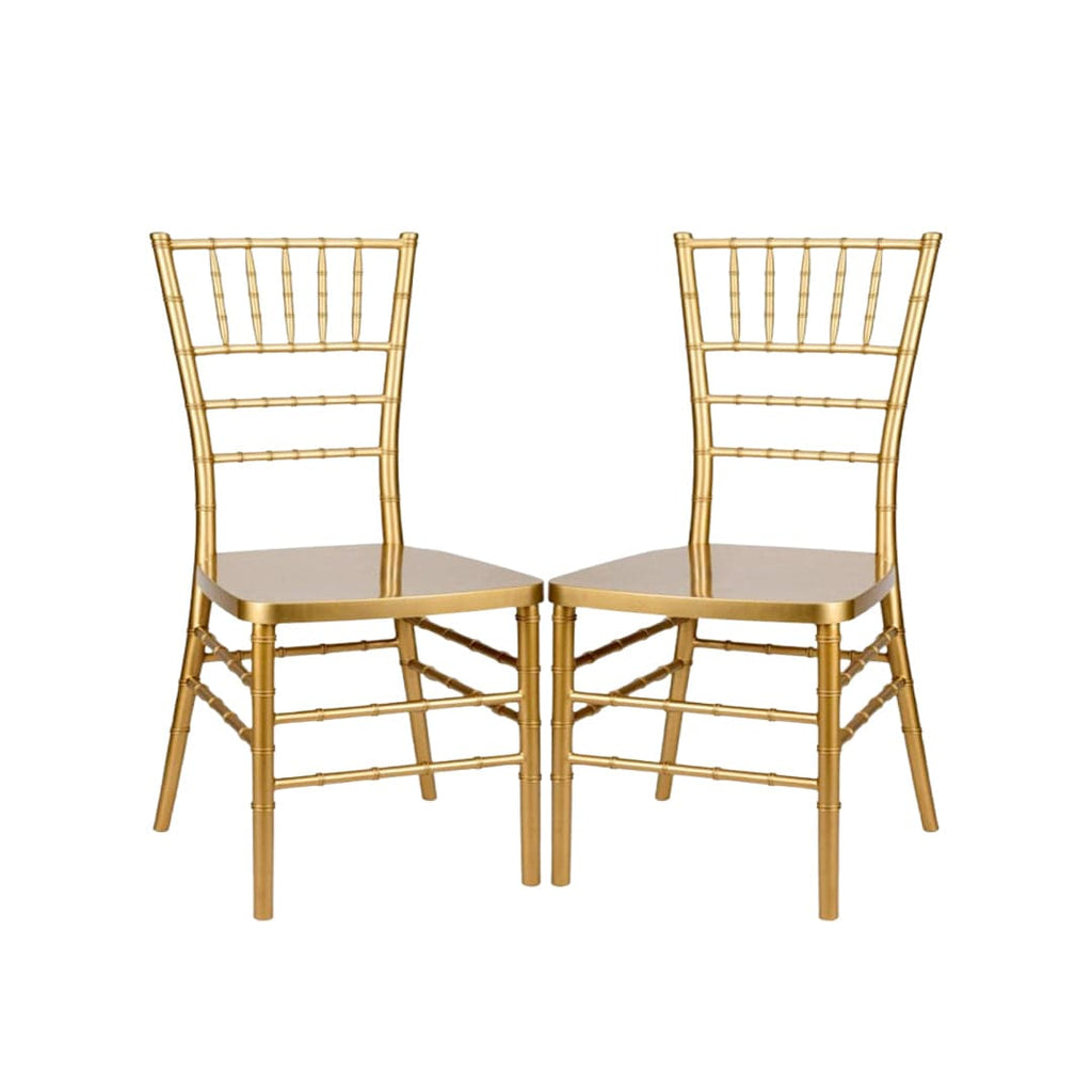Resin Steel Skeleton Ballroom Chair